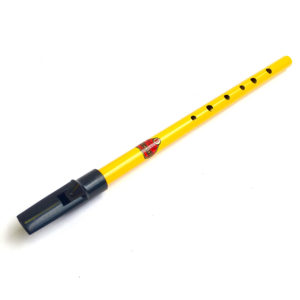 Generation Aurora High D Penny Whistle
