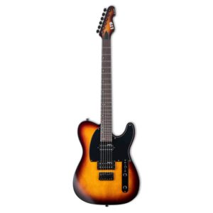 ESP-LTD-TE-200-Electric-Guitar